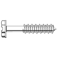 BBI Tapking Concrete Screws