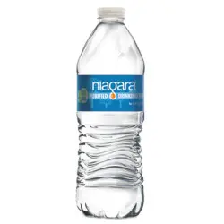 16.9oz Eco-Air Bottle Niagara Purified Drinking Water 24Ct Case